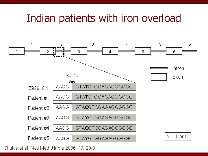 Indian patients with iron overload 1 1 2 2 3 3 4 4 5