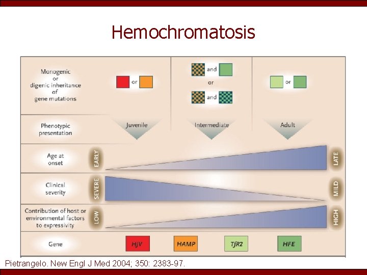 Hemochromatosis Pietrangelo. New Engl J Med 2004; 350: 2383 -97. 