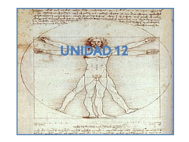 UNIDAD 12 