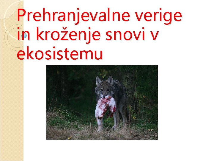 Prehranjevalne verige in kroženje snovi v ekosistemu 