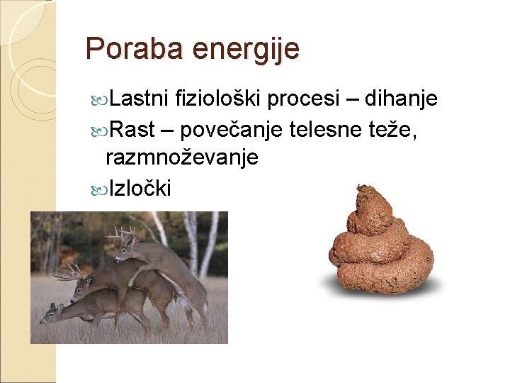 Poraba energije Lastni fiziološki procesi – dihanje Rast – povečanje telesne teže, razmnoževanje Izločki