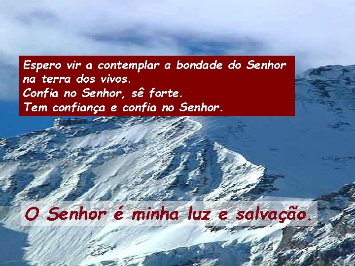 Espero vir a contemplar a bondade do Senhor na terra dos vivos. Confia no