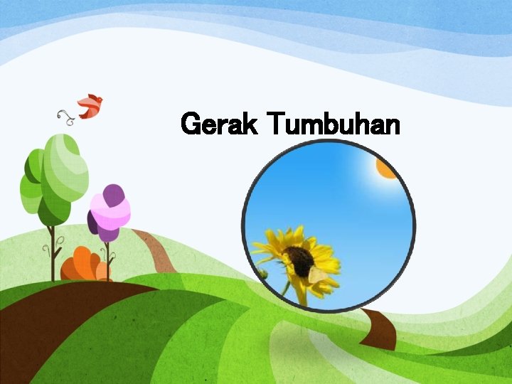 Gerak Tumbuhan 