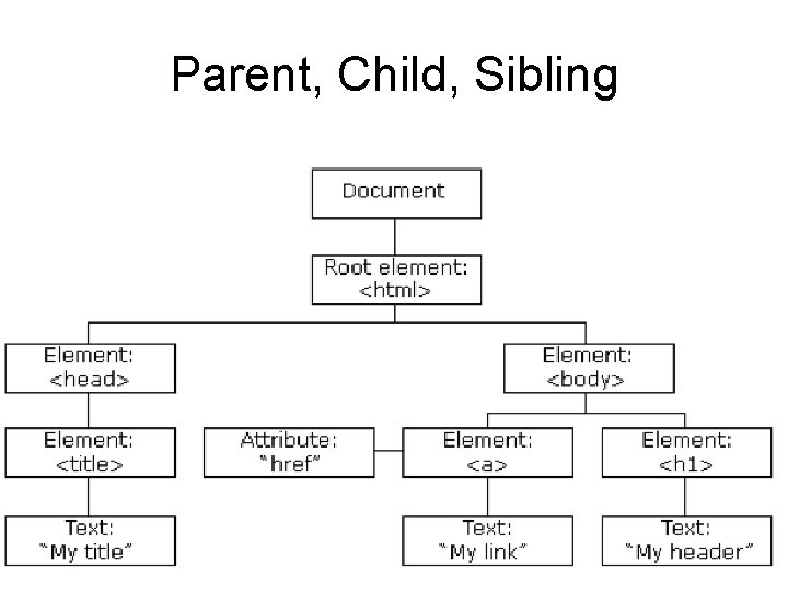 Parent, Child, Sibling 