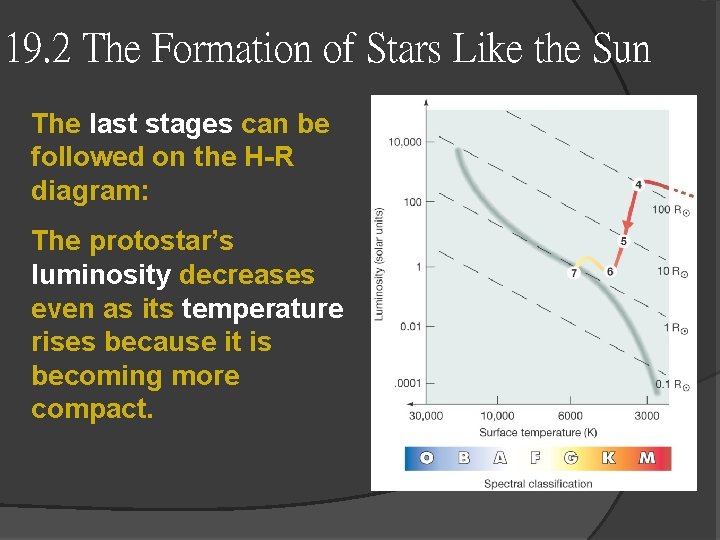 19. 2 The Formation of Stars Like the Sun The last stages can be 19. 2 The Formation of Stars Like the Sun The last stages can be