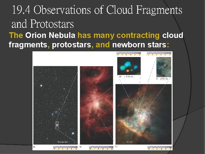 19. 4 Observations of Cloud Fragments and Protostars The Orion Nebula has many contracting 19. 4 Observations of Cloud Fragments and Protostars The Orion Nebula has many contracting