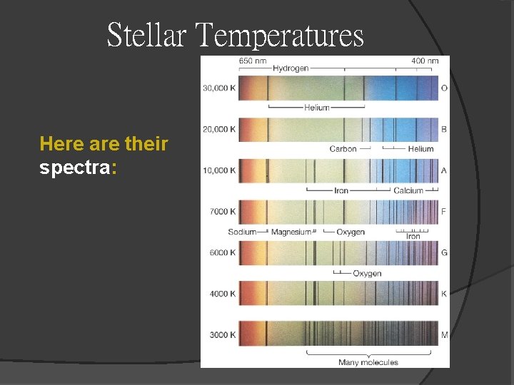 Stellar Temperatures Here are their spectra: Stellar Temperatures Here are their spectra: