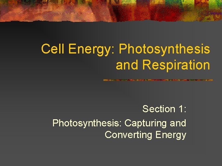 Cell Energy: Photosynthesis and Respiration Section 1: Photosynthesis: Capturing and Converting Energy 