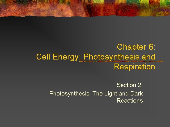 Chapter 6: Cell Energy: Photosynthesis and Respiration Section 2: Photosynthesis: The Light and Dark