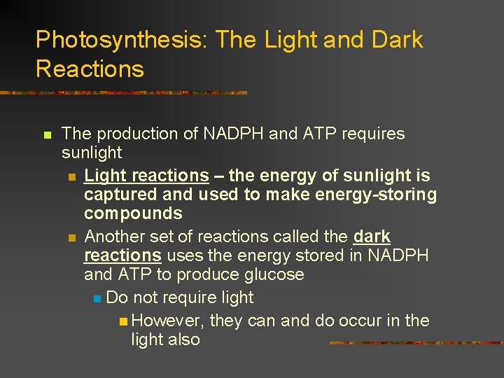 Photosynthesis: The Light and Dark Reactions n The production of NADPH and ATP requires