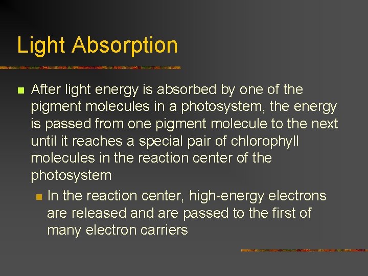 Light Absorption n After light energy is absorbed by one of the pigment molecules