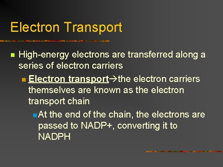 Electron Transport n High-energy electrons are transferred along a series of electron carriers n