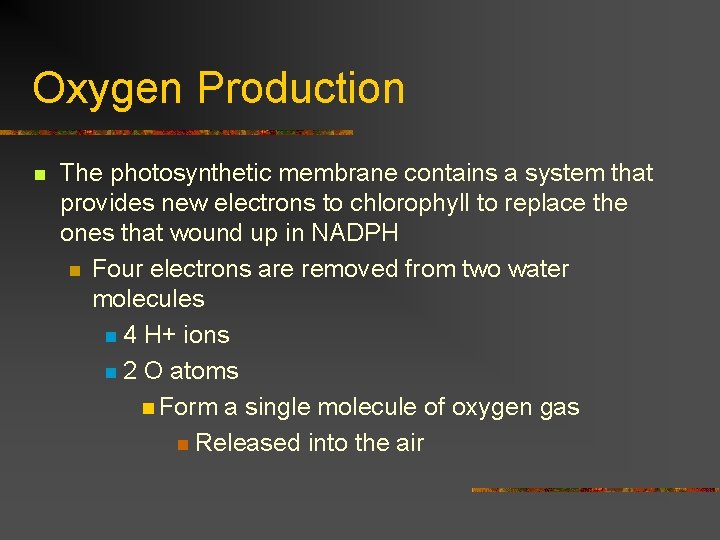 Oxygen Production n The photosynthetic membrane contains a system that provides new electrons to