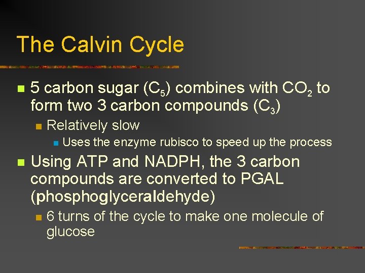 The Calvin Cycle n 5 carbon sugar (C 5) combines with CO 2 to