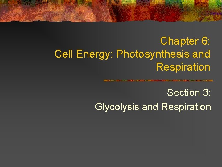 Chapter 6: Cell Energy: Photosynthesis and Respiration Section 3: Glycolysis and Respiration 