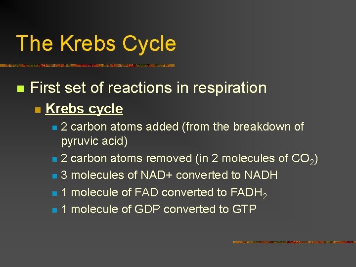 The Krebs Cycle n First set of reactions in respiration n Krebs cycle 2