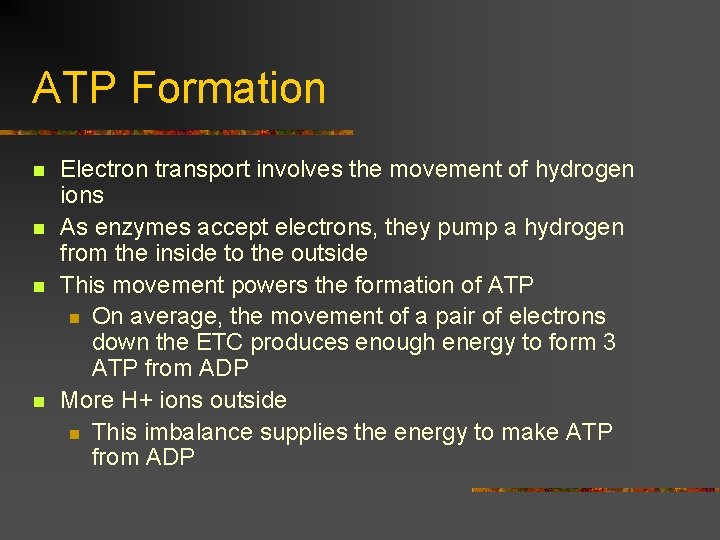 ATP Formation n n Electron transport involves the movement of hydrogen ions As enzymes