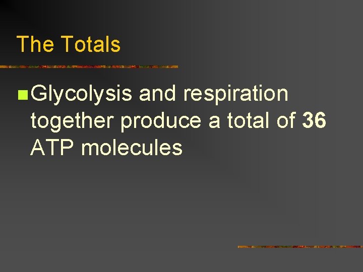 The Totals n Glycolysis and respiration together produce a total of 36 ATP molecules