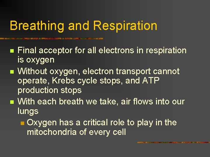Breathing and Respiration n Final acceptor for all electrons in respiration is oxygen Without
