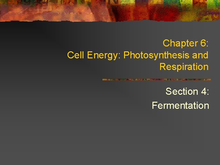 Chapter 6: Cell Energy: Photosynthesis and Respiration Section 4: Fermentation 
