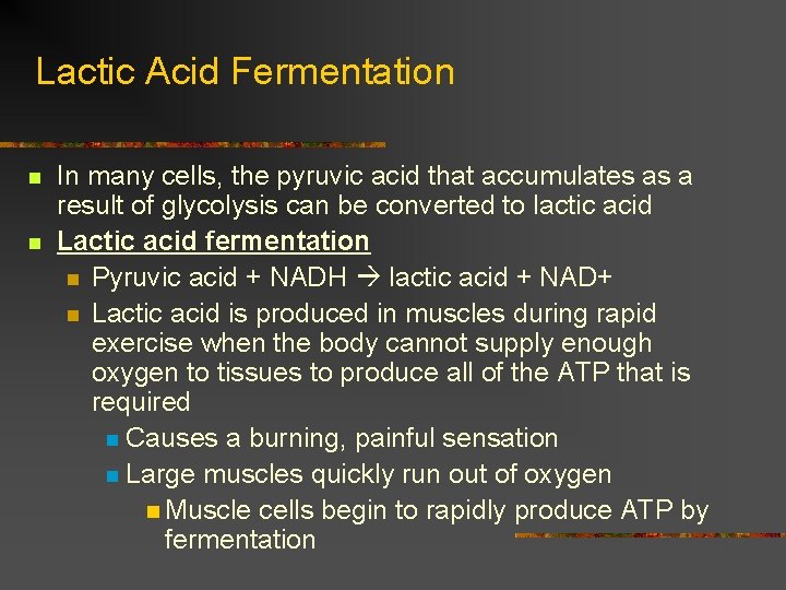 Lactic Acid Fermentation n n In many cells, the pyruvic acid that accumulates as