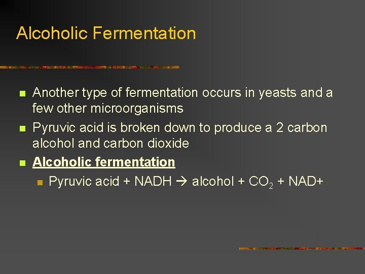 Alcoholic Fermentation n Another type of fermentation occurs in yeasts and a few other
