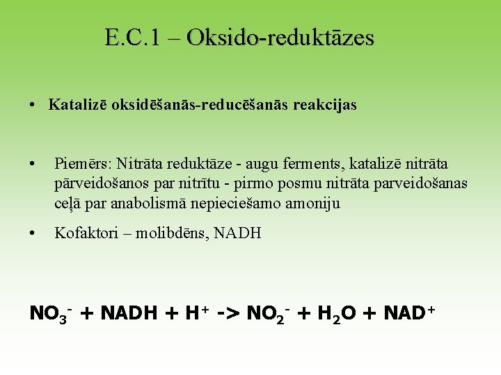 E. C. 1 – Oksido-reduktāzes • Katalizē oksidēšanās-reducēšanās reakcijas • Piemērs: Nitrāta reduktāze -