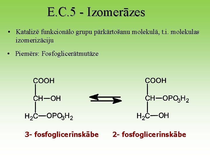 E. C. 5 - Izomerāzes • Katalizē funkcionālo grupu pārkārtošanu molekulā, t. i. molekulas