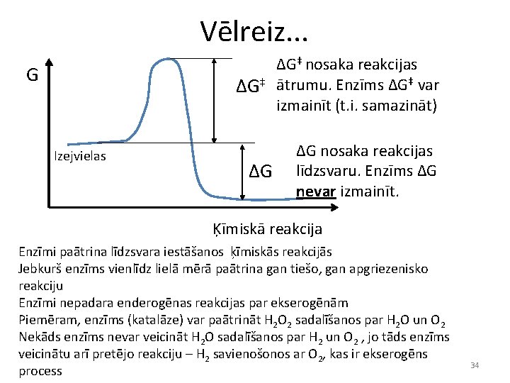 Vēlreiz. . . G ΔG‡ Izejvielas ΔG ΔG‡ nosaka reakcijas ātrumu. Enzīms ΔG‡ var