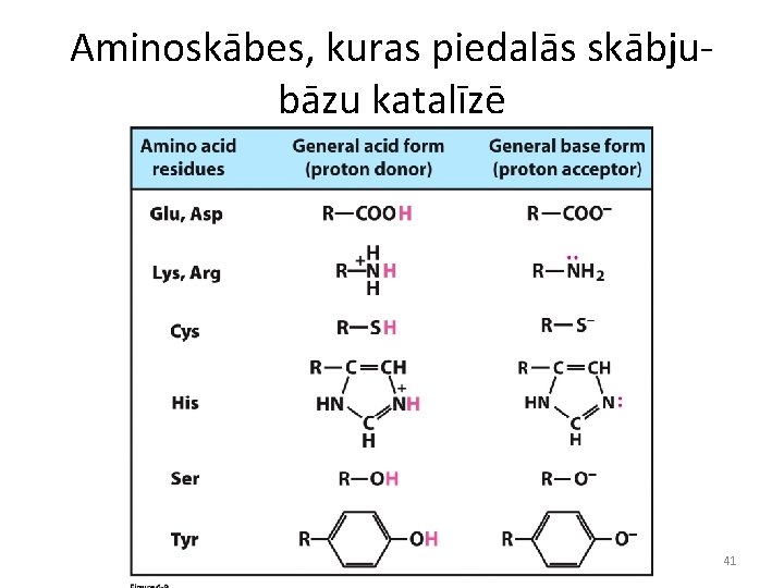 Aminoskābes, kuras piedalās skābjubāzu katalīzē 41 