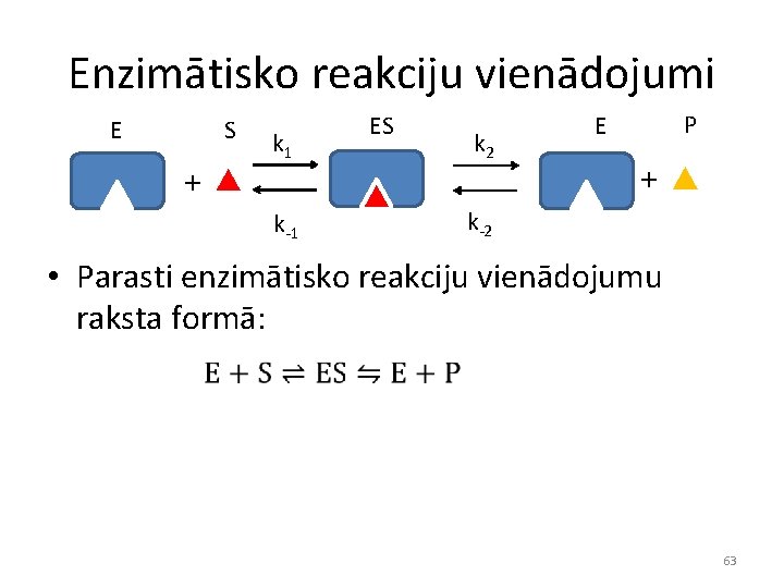 Enzimātisko reakciju vienādojumi E S + k 1 k-1 ES k 2 P E