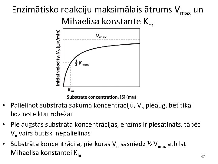 Enzimātisko reakciju maksimālais ātrums Vmax un Mihaelisa konstante Km • Palielinot substrāta sākuma koncentrāciju,