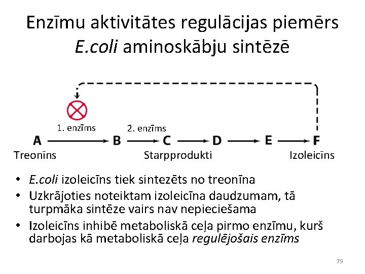 Enzīmu aktivitātes regulācijas piemērs E. coli aminoskābju sintēzē 1. enzīms Treonīns 2. enzīms Starpprodukti