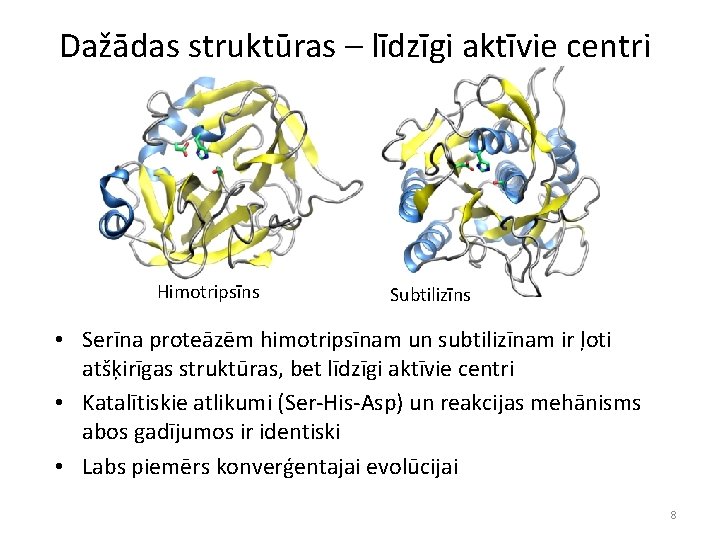 Dažādas struktūras – līdzīgi aktīvie centri Himotripsīns Subtilizīns • Serīna proteāzēm himotripsīnam un subtilizīnam