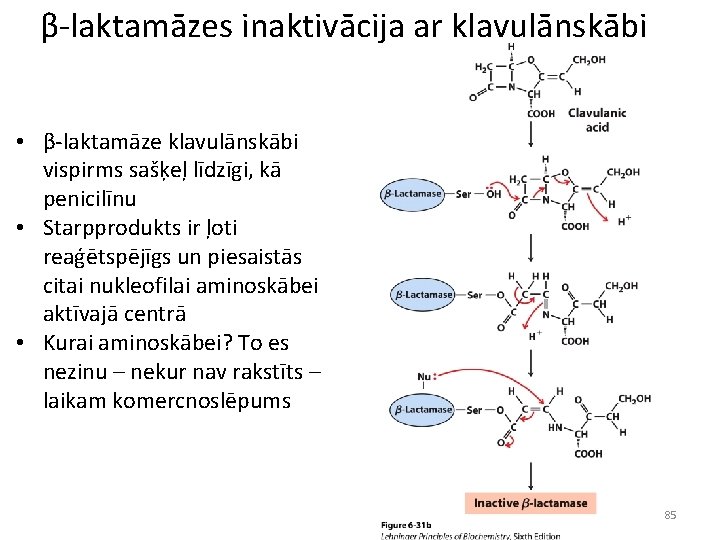 β-laktamāzes inaktivācija ar klavulānskābi • β-laktamāze klavulānskābi vispirms sašķeļ līdzīgi, kā penicilīnu • Starpprodukts