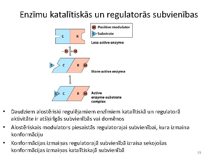 Enzīmu katalītiskās un regulatorās subvienības • Daudziem alostēriski regulējamiem enzīmiem katalītiskā un regulatorā aktivitāte