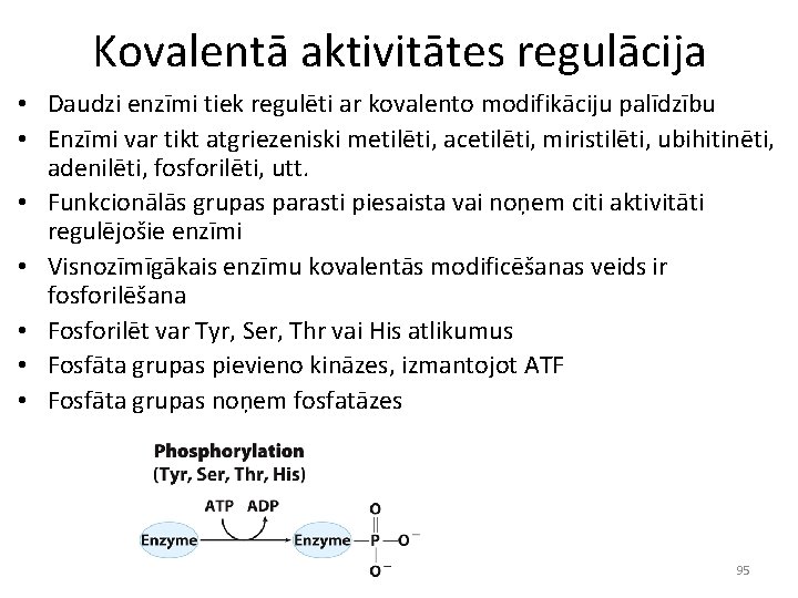 Kovalentā aktivitātes regulācija • Daudzi enzīmi tiek regulēti ar kovalento modifikāciju palīdzību • Enzīmi