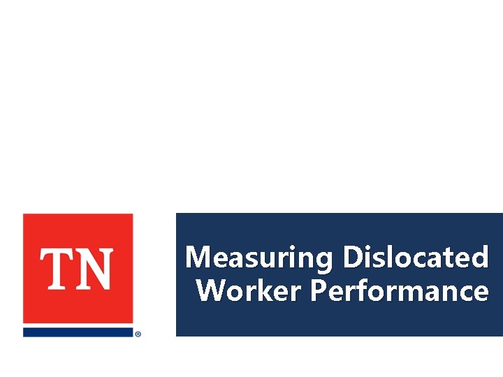 Measuring Dislocated Worker Performance 