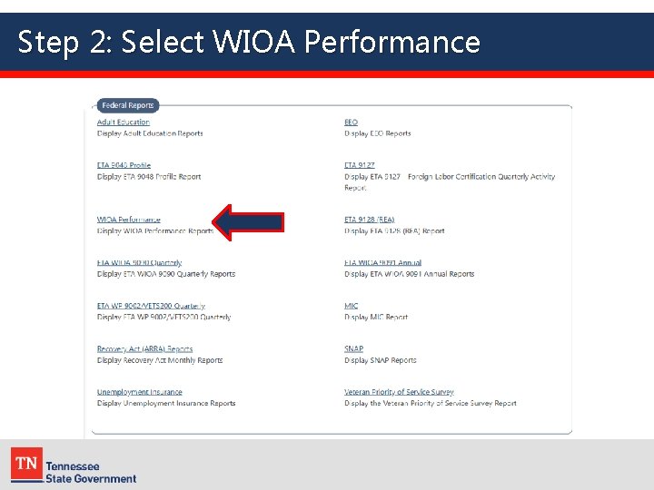 Step 2: Select WIOA Performance 