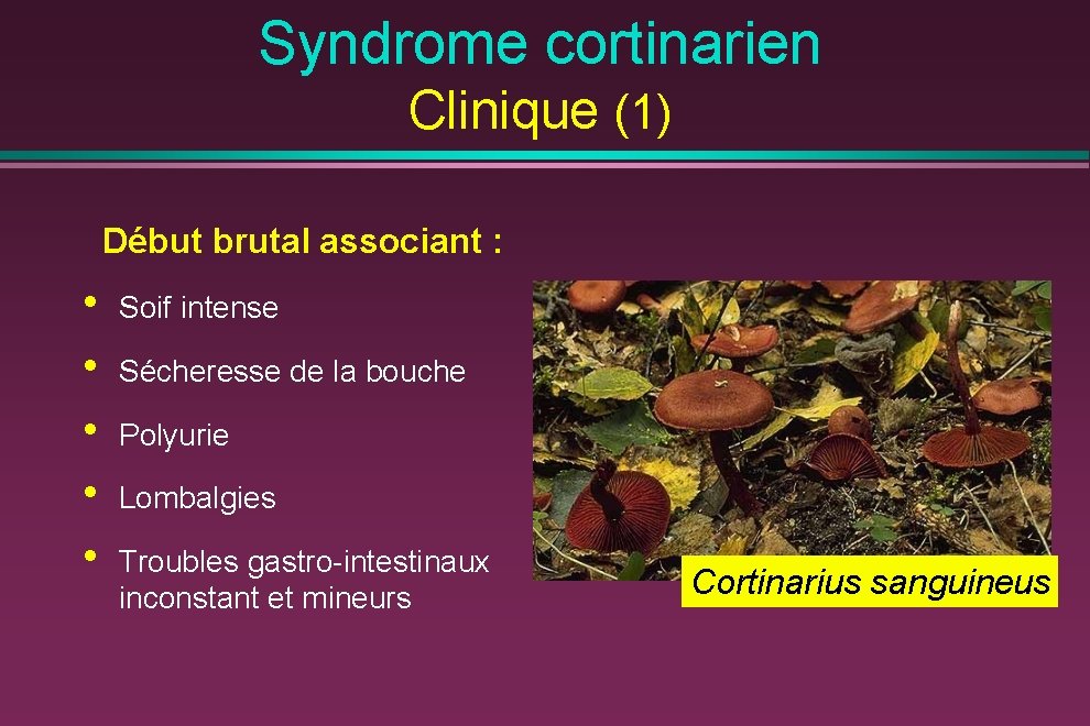 Syndrome cortinarien Clinique (1) Début brutal associant : • • • Soif intense Sécheresse