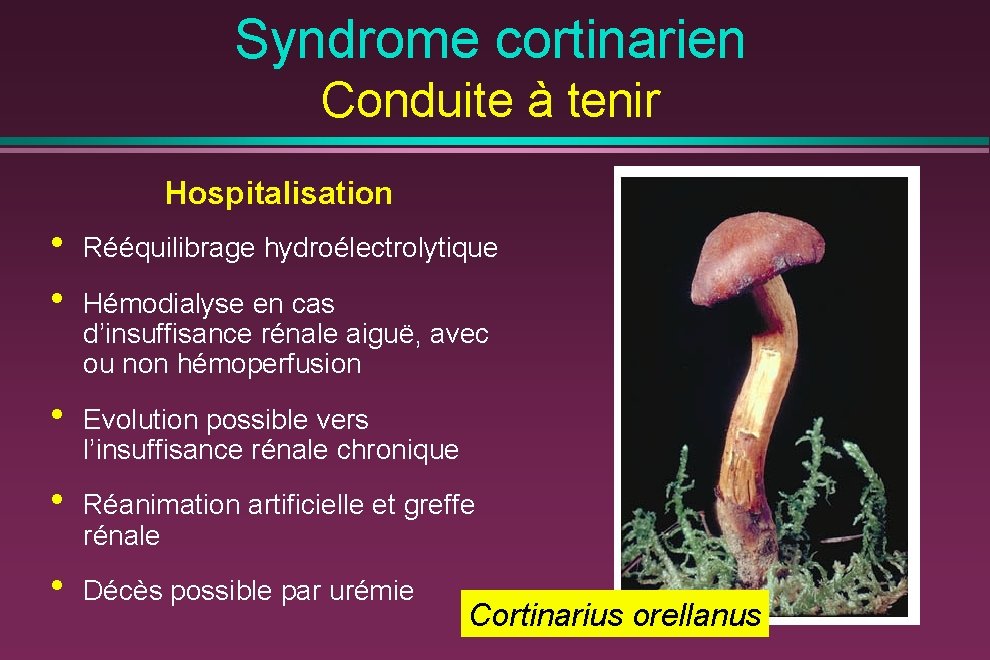 Syndrome cortinarien Conduite à tenir Hospitalisation • • Rééquilibrage hydroélectrolytique • Evolution possible vers
