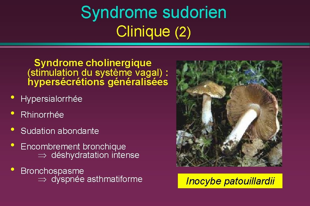 Syndrome sudorien Clinique (2) Syndrome cholinergique (stimulation du système vagal) : hypersécrétions généralisées •
