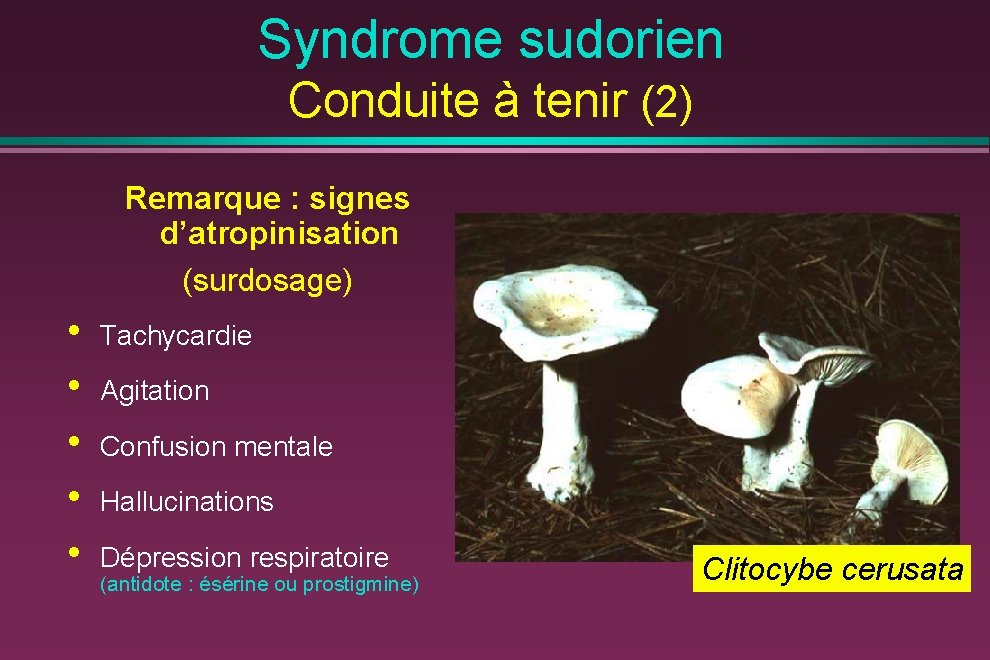 Syndrome sudorien Conduite à tenir (2) Remarque : signes d’atropinisation (surdosage) • • •