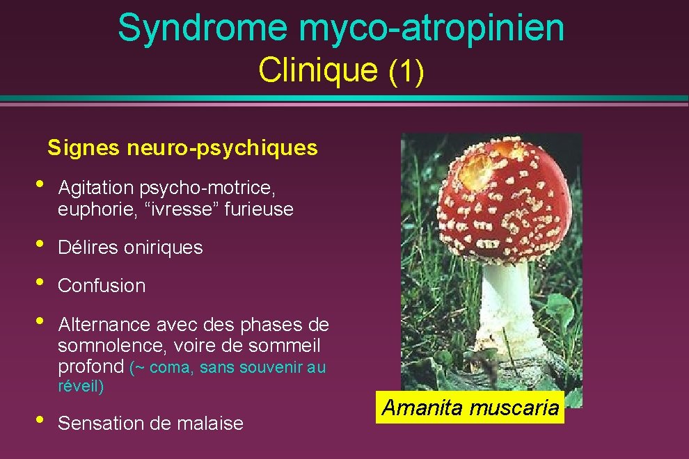 Syndrome myco-atropinien Clinique (1) Signes neuro-psychiques • Agitation psycho-motrice, euphorie, “ivresse” furieuse • •