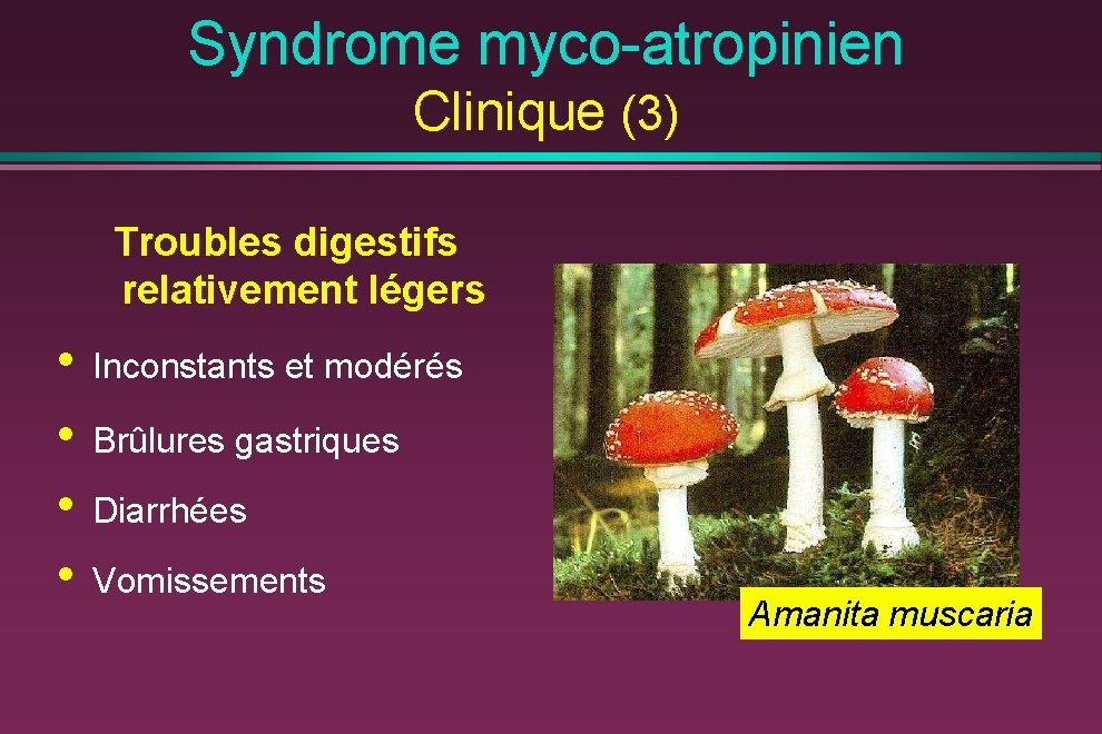 Syndrome myco-atropinien Clinique (3) Troubles digestifs relativement légers • • Inconstants et modérés Brûlures