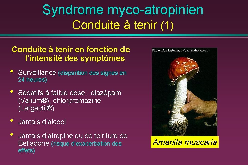 Syndrome myco-atropinien Conduite à tenir (1) Conduite à tenir en fonction de l’intensité des