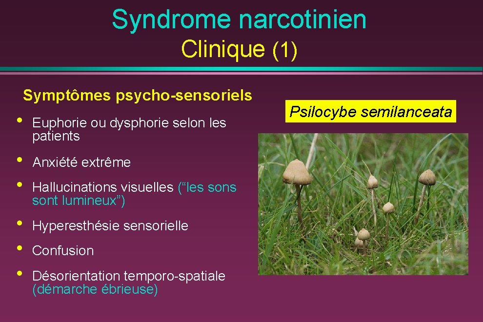 Syndrome narcotinien Clinique (1) Symptômes psycho-sensoriels • Euphorie ou dysphorie selon les patients •
