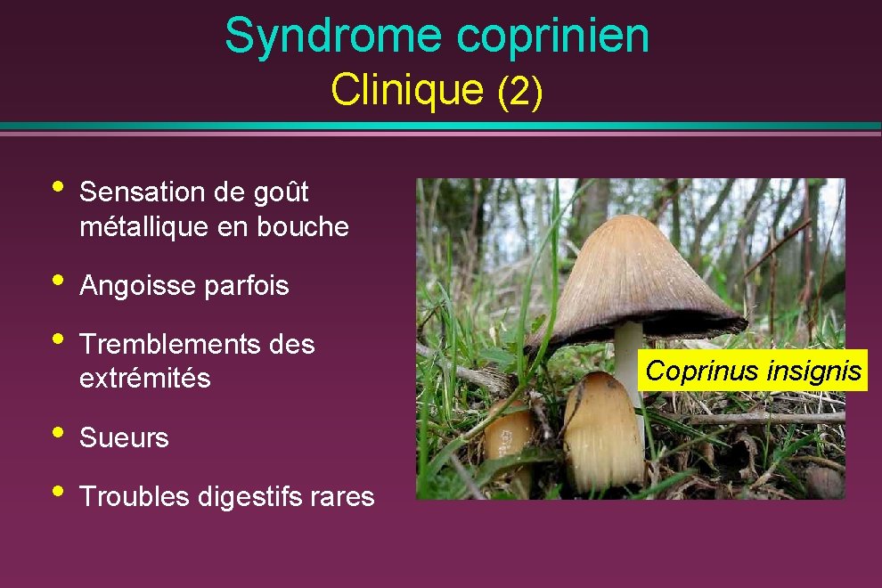 Syndrome coprinien Clinique (2) • Sensation de goût métallique en bouche • • Angoisse