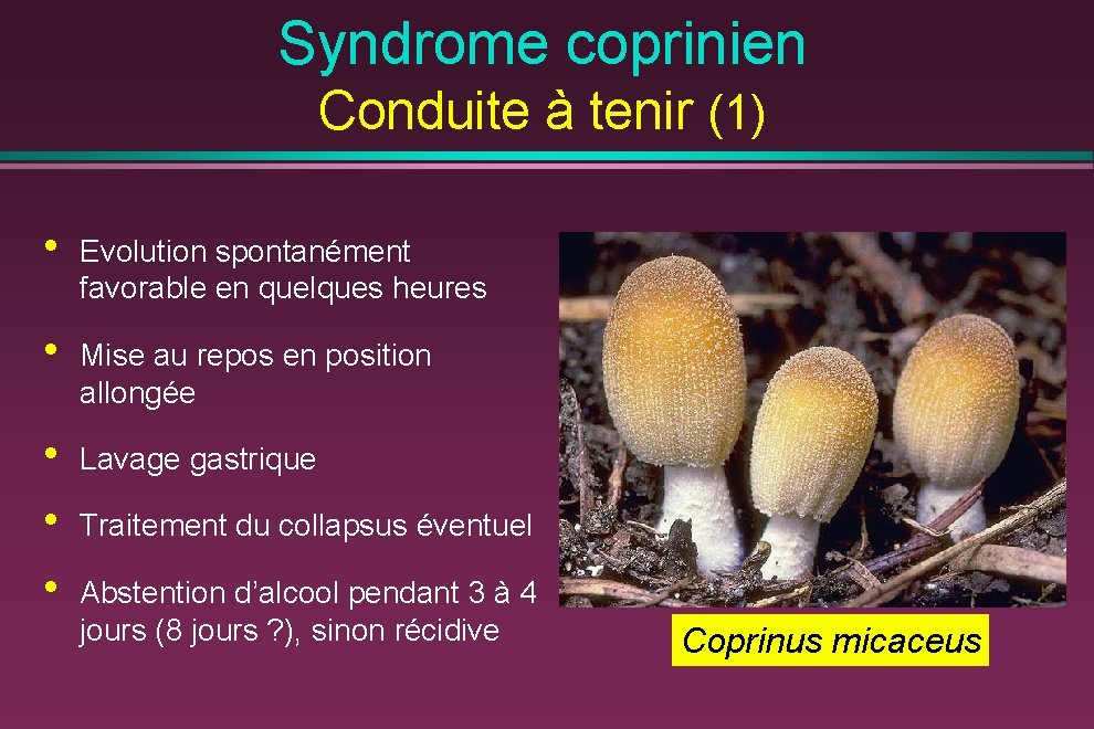 Syndrome coprinien Conduite à tenir (1) • Evolution spontanément favorable en quelques heures •