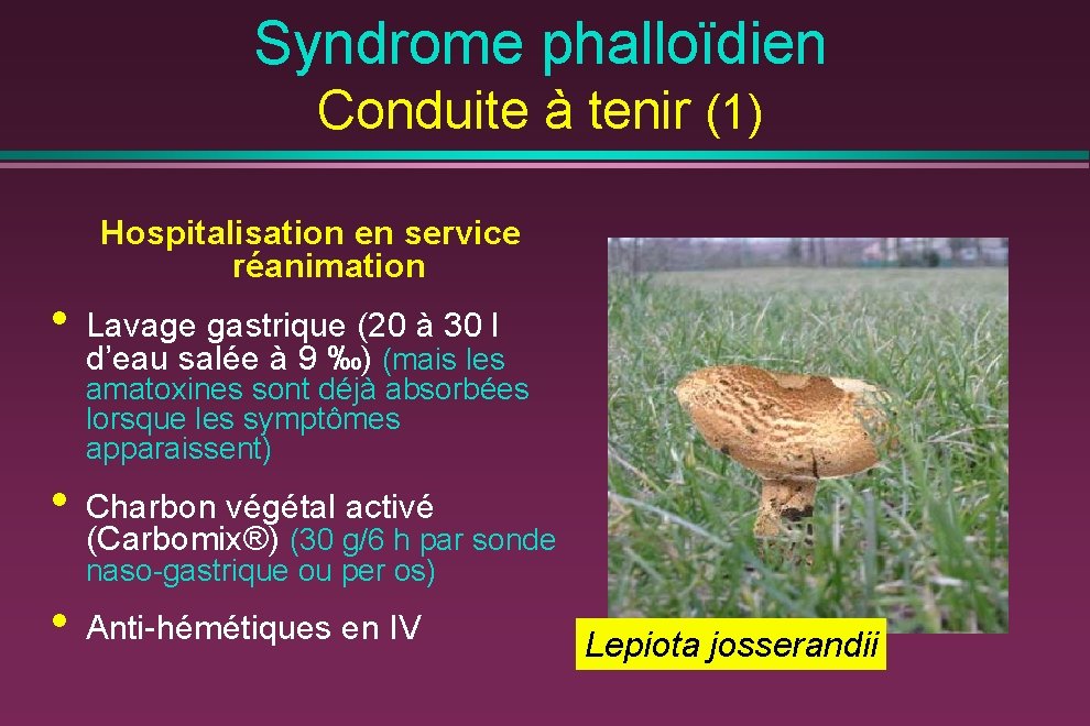 Syndrome phalloïdien Conduite à tenir (1) Hospitalisation en service réanimation • Lavage gastrique (20